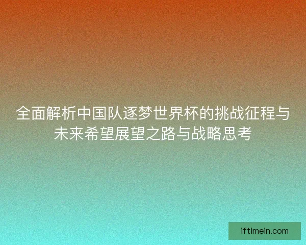 全面解析中国队逐梦世界杯的挑战征程与未来希望展望之路与战略思考